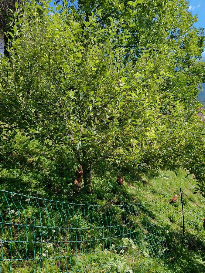 Charming Bella Hideout - Adults Only Apartamento Jesenice Exterior foto